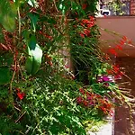 Duplex, 3 With Own Garden, To The Apartman