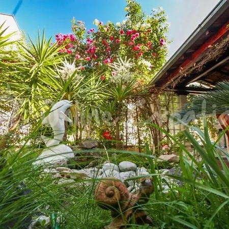 Duplex 3 With Garden And Garage Near To Apartment