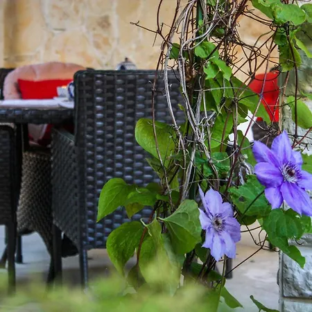 公寓 Duplex, 3 With Own Garden, To The *