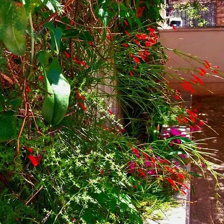 Duplex, 3 With Own Garden, To The 公寓