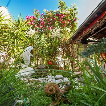 Duplex, 3 With Own Garden, To The