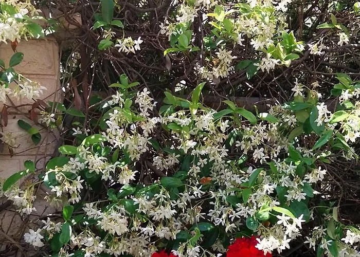 Duplex 3 With Garden And Garage Near To Apartment