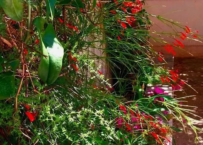 Duplex 3 With Garden And Garage Near To Apartment